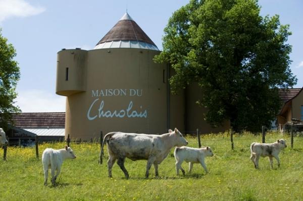 Maison du Charolais