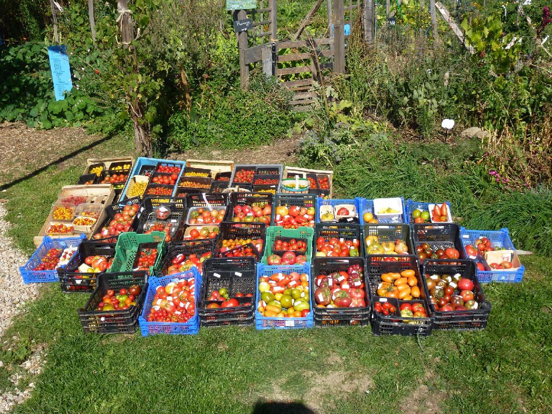 Jardin pédagogique